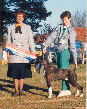 Ch.Thasrite Black Knight CDX winning Best in Show