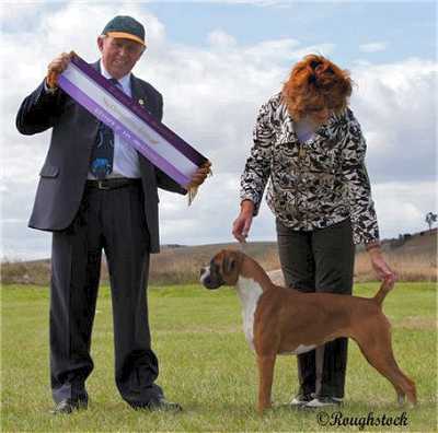 Winning Best Puppy in Show at Tarago