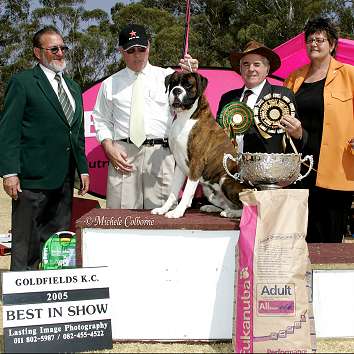 SA CH/AustGrand Ch Thasrite The New Yorker wins BIS Goldfields KC South Africa