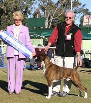 Grand Ch Thasrite The New Yorker wins back to back Best Exhibit in Show - Lake Macquarie Kennel Club - June 2004.