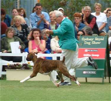 Yorker at Sydney Royal