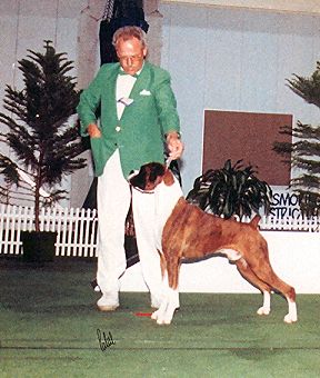 Jamie winning BIS at the 2nd Boxer National