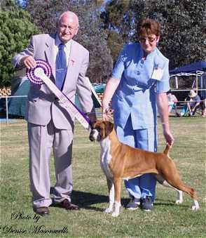 Ch.Thasrite Melodrama winning Best in Show